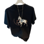 1_resized